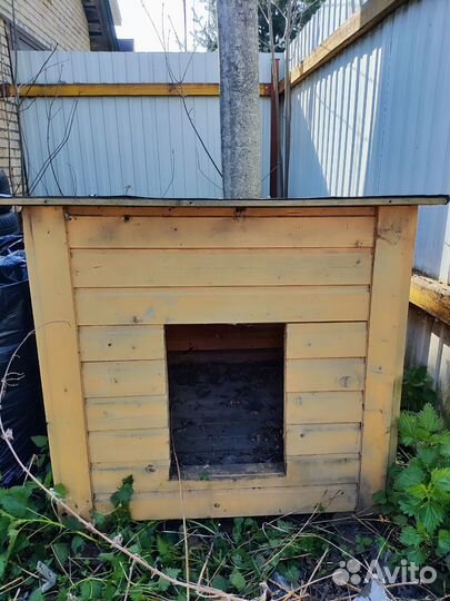 Собачья будка