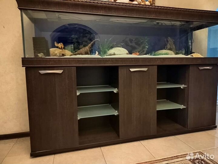 Аквариум