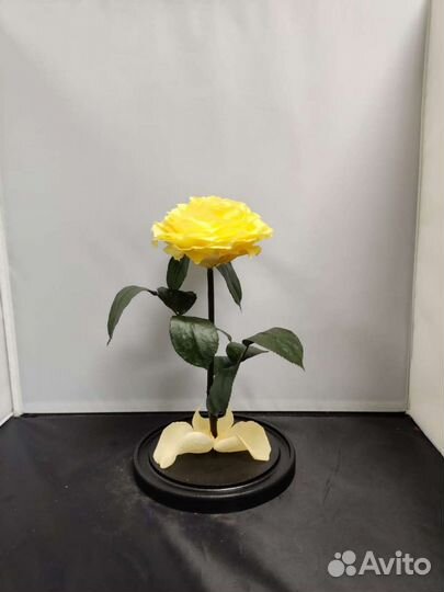 Роза в колбе оптом и в розницу