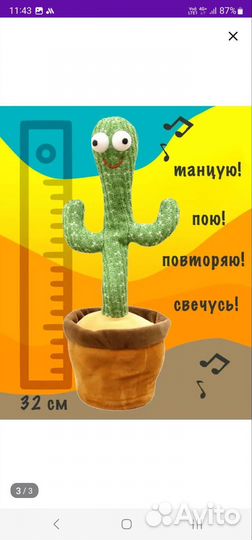 Танцующий кактус