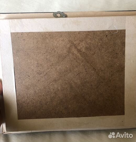 Бабочка Attacus atlas