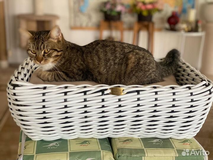 Корзина лля собаки /кошки