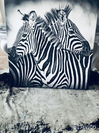Картина Зебра