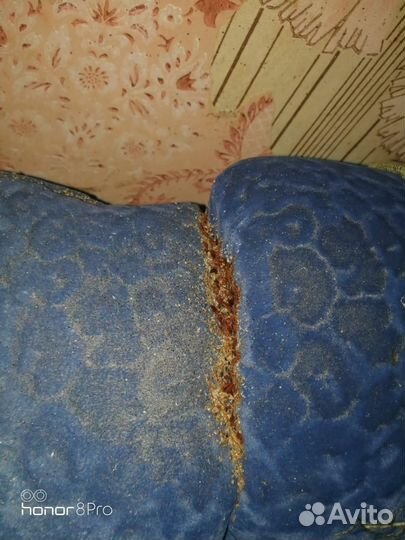 Уничтожение тараканов. Травить клопов. Дезинфекция