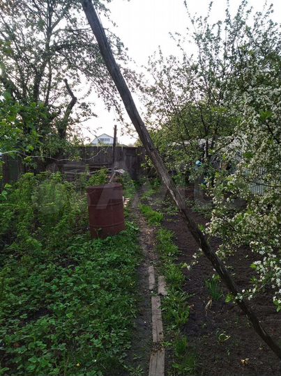 Дом 56,4 м² на участке 8 сот.