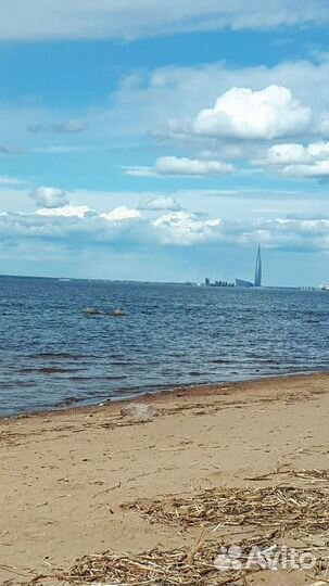 Передержка домашних животных,выгул, дрессировка