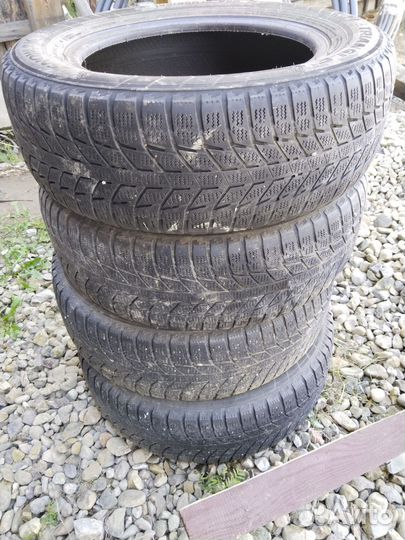 Triangle Snowlink PL02 195/65 R15