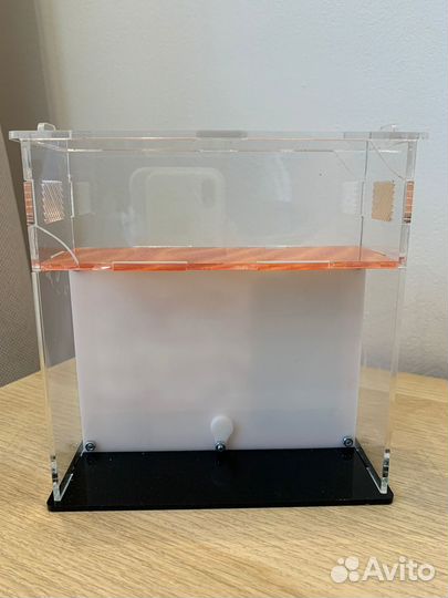 Муравьиная ферма