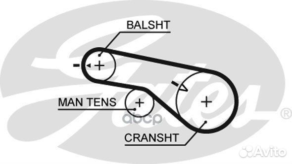 Комплект ремня грм 7883-11566 K025556XS Gates