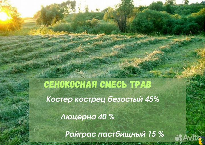 Семена Для Сенокоса Травосмесь Под Заказ 25 кг