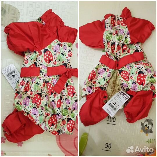 Одежда для собак, ошейник