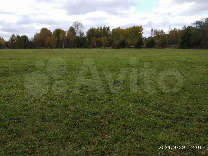 Участок 2 га (ИЖС)