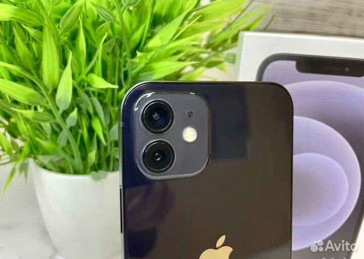 iPhone 12, 128 ГБ
