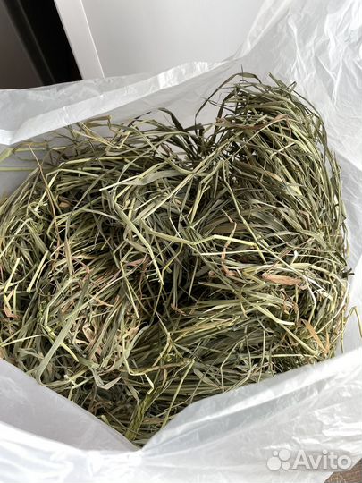 Сено для грызунов