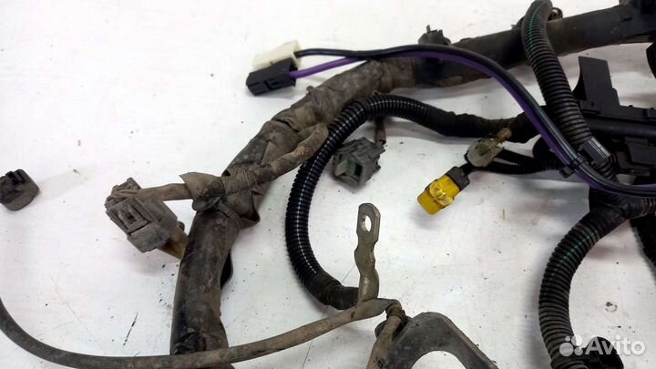 Проводка двигателя 2.0 ecoboost Ford Mondeo 4