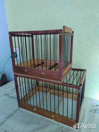 Чижи щеглы певчие птицы