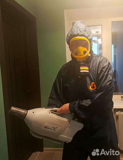 Дезинсекция и дератизация
