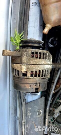 Генератор заз шанс 1.3