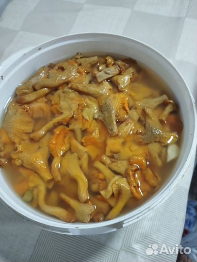 Сушёные грибы солёные лисички