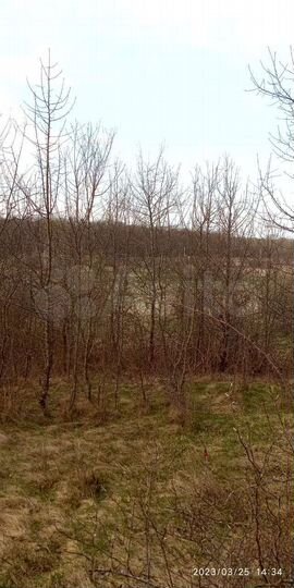 Участок 57 сот. (СНТ, ДНП)