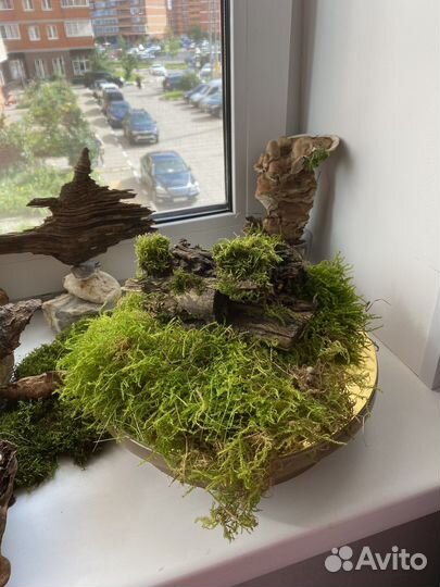 Для террариума