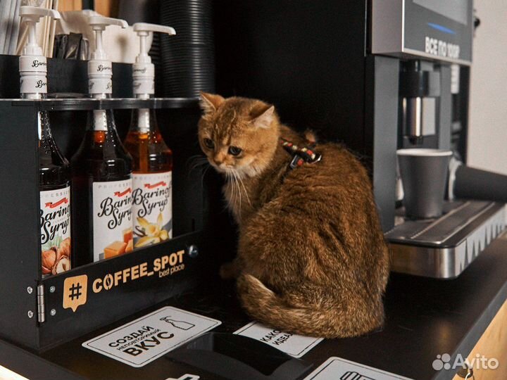 Кофейный автомат, кофейня самообслуживания