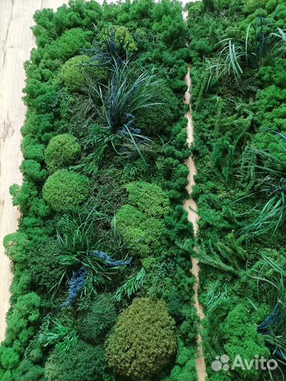 Панно мох стабилизированный