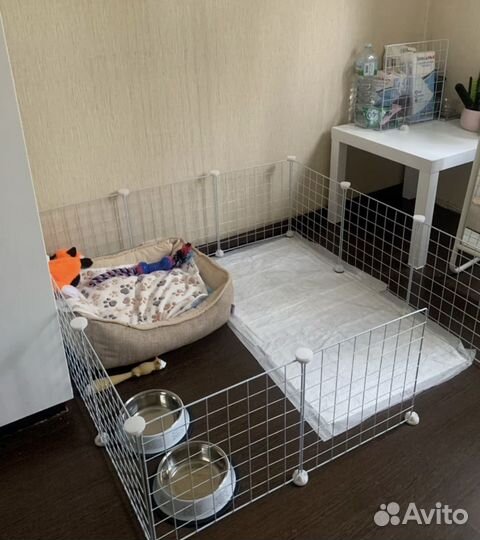 Вольер для собак мелких пород