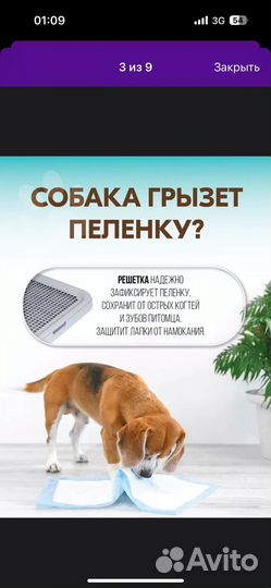 Лоток для собак мелких пород