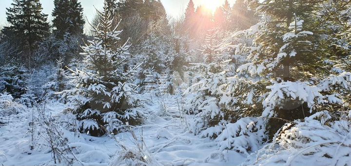 Участок 24 га (ИЖС)