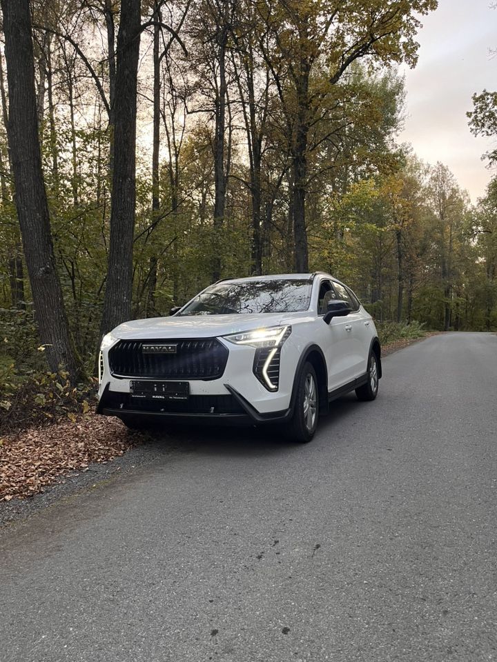 HAVAL Jolion: фото владельца