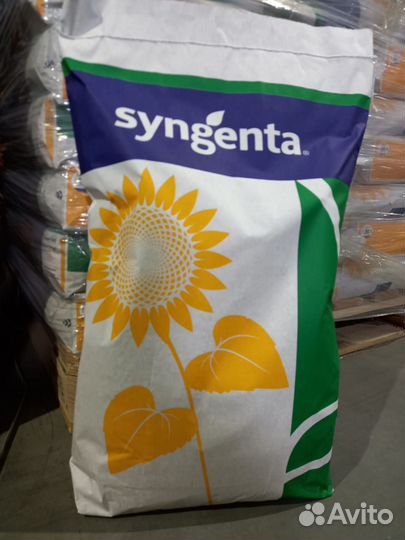 Семена подсолнечника Ласкала Syngenta