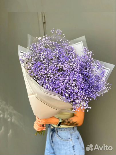 Гипсофила Букет цветы