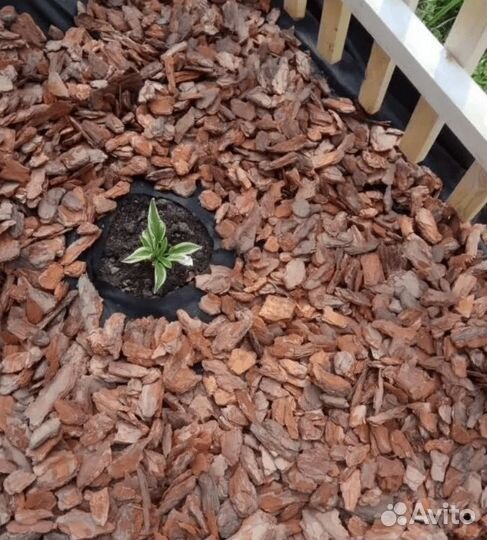 Кора-мульча сосны фракции 5-10 см (мешки 50 литров