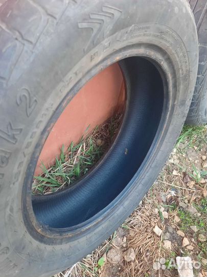 Tunga Tunga 185/65 R32