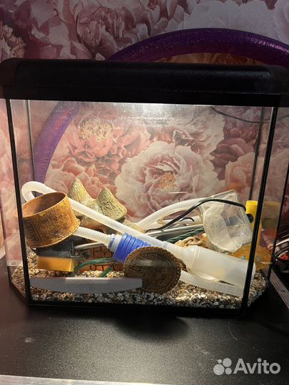 Аквариум