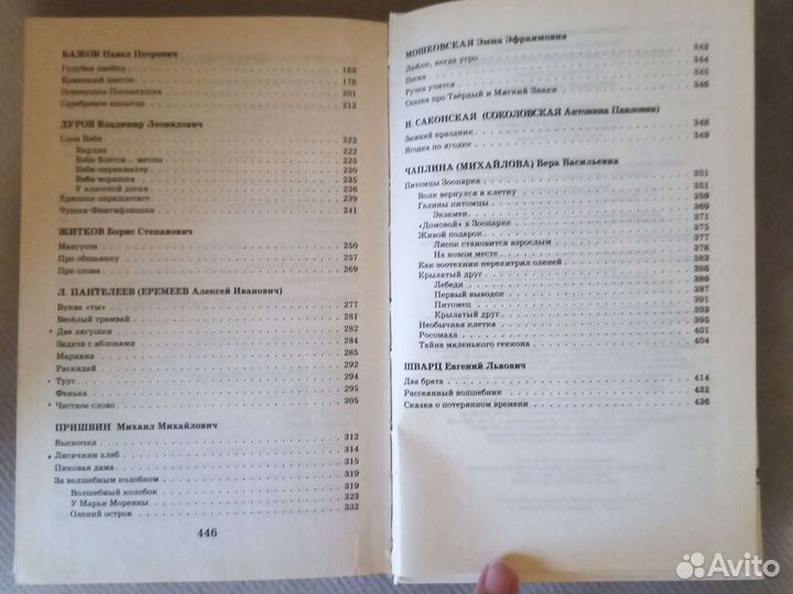 Внеклассное чтение Русская литература