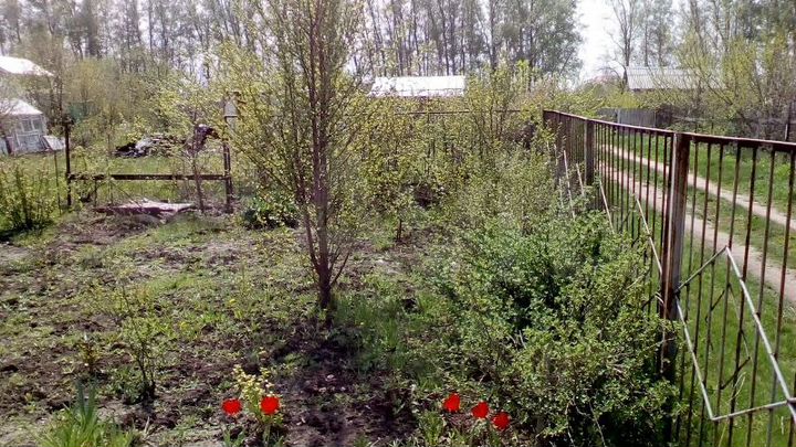 Участок 5 сот. (СНТ, ДНП)