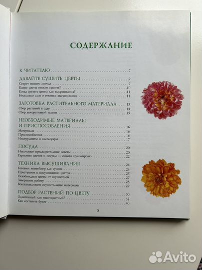 Как сушить цветы и составлять букеты