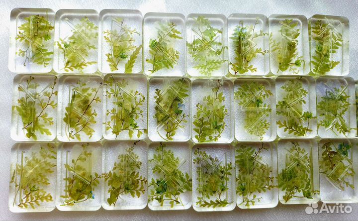 Скандинавские руны набор Цветок папоротника