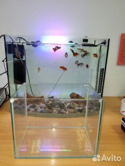 Аквариум с рыбками