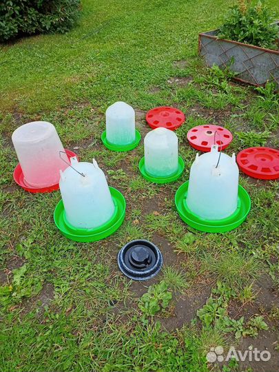 Кормушки и поилки для кур