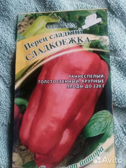 Рассада помидор и перцев и цветов