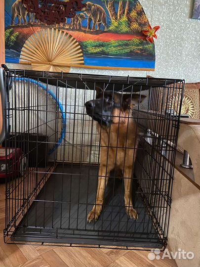 Клетка для собак 120*79*83см