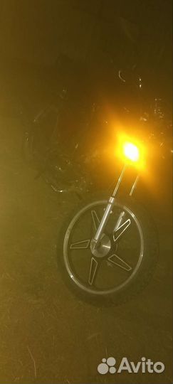 Альфа рейсер 72