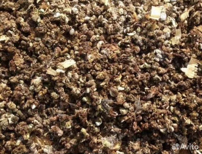 Навоз чистый куриный без примесей
