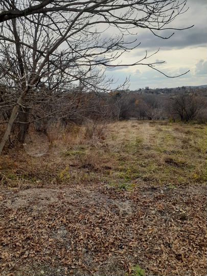 Участок 30 сот. (ИЖС)