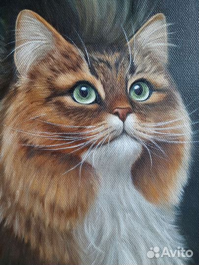 Картина маслом. Котик