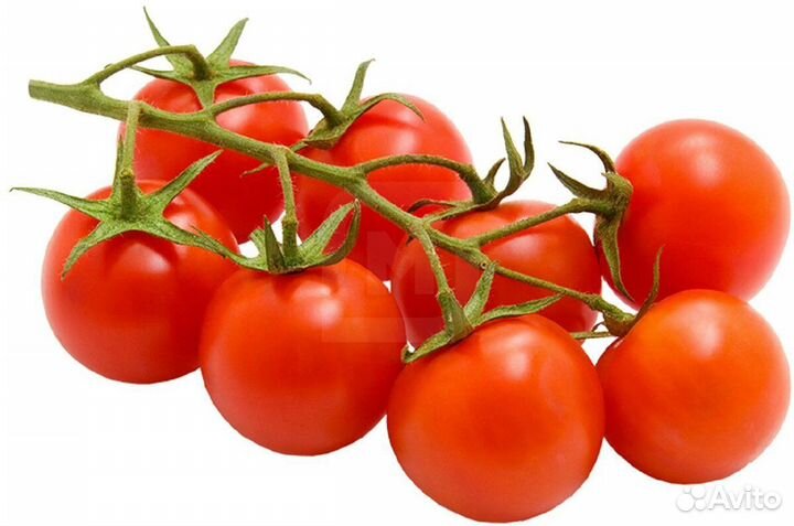 Вахта работник теплицы 15 смен /проживание