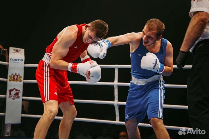 Тренер по боксу